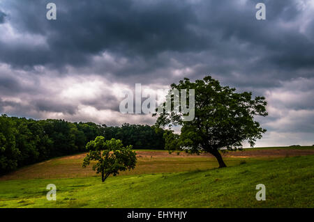 Dunklen Gewitterhimmel über Bäume und Felder im York County, Pennsylvania. Stockfoto