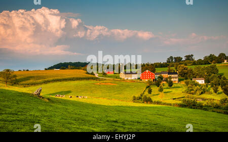 Abendlicht am Farmen und sanften Hügeln im Süden York County, Pennsylvania. Stockfoto