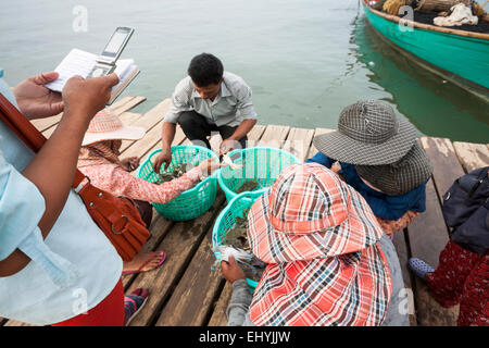 Krabben Sie-Markt in Kep, Kambodscha. Traditionelle Besetzung für ihren Lebensunterhalt. Menschen sortieren und berechnen ihren Anteil vom Einkommen. Stockfoto