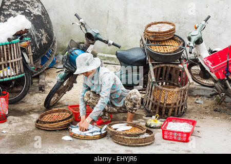 Einen belebten Fischmarkt am frühen Morgen in der Nähe von Hoi an, Vietnam. Eine Frau sortieren Fisch zu verkaufen. Stockfoto