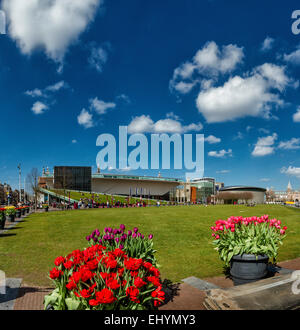 Niederlande, Holland, Europa, Amsterdam, Museum, quadratisch, Stedelijk Museum, Stadt, Dorf, Feld, Wiese, Blumen, Frühling, Menschen, Stockfoto