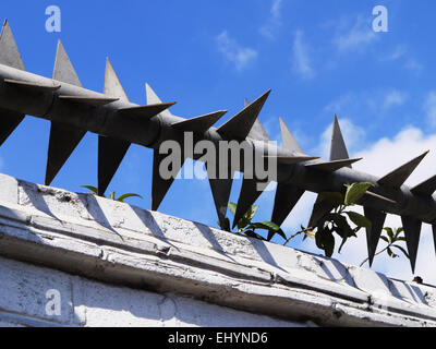 Rota-Spike-Sicherheitszaun Stockfoto