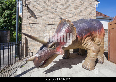 England, Dorset, Dorchester, Dinosaurier-Museum, Schädel eines Sabretooth Tigers Stockfoto