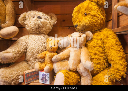 Teddy Bear Museum, Dorchester, Dorset, England Anzeige der Teddybären Stockfoto