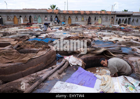 Gerbereien (Gerberei), im Freien, Solarium Bottiche, Medina (Altstadt), Marrakesch, Marrakesch, Marokko, Nordafrika Stockfoto