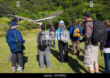 Chefin geben Führung zu Touristen, Kapiti Island, Westküste der Nordinsel, Neuseeland Stockfoto