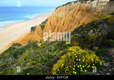 Portugal, Europa, Atlantik, Küste, Praia da Gale, Fontainhas, Melides Alentejo, Longueira, Klippen, Strand, Meer, Sand, Meer, sp Stockfoto