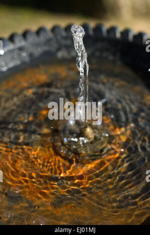 Wasser fließt aus einem Hahn in einem öffentlichen Brunnen und in einem rostigen Teller fallen. Selektiven Fokus Stockfoto
