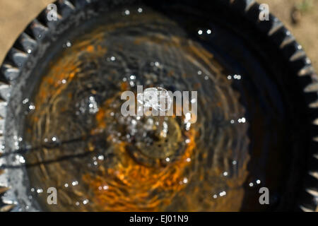 Wasser fließt aus einem Hahn in einem öffentlichen Brunnen und in einem rostigen Teller fallen. Selektiven Fokus Stockfoto