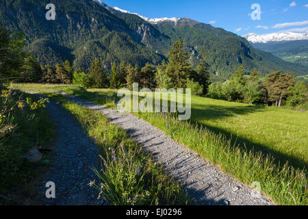 Alvaneu, Schweiz, Europa, Kanton Graubünden, Graubünden, Albula-Tal, Wiese, Alm, Weg Stockfoto