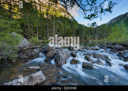 Urwald, Wald, Derborence, Schweiz, Europa, Kanton Wallis, Bergsee, See, Lake run-off Stockfoto