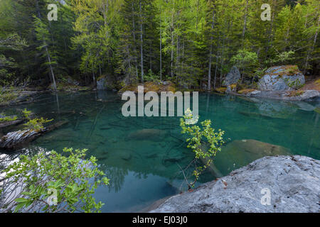 Urwald, Wald, Derborence, Schweiz, Europa, Kanton Wallis, Bergsee, See, Stockfoto