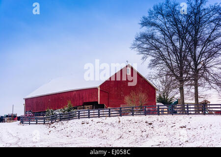 Rote Scheune und schneebedeckten Feld in ländlichen Adams County, Pennsylvania. Stockfoto