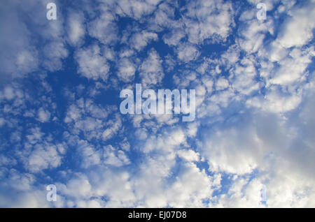 Schweiz, Europa, Baselland, Jura, Laufental, blau, Nenzlingen, Feld, Baum, Baum, Eiche, Winter, Zweig, Knoten, Stockfoto