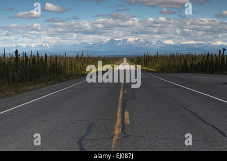 Montieren Sie Trommel von Glennallen Highway, Alaska, USA. Stockfoto