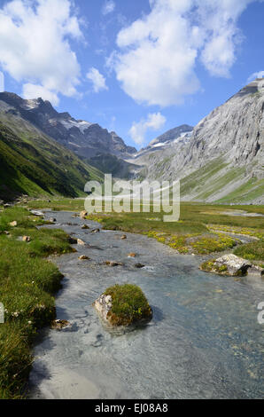 Schweiz, Europa, Graubünden, Graubünden, Breil, Brigels, Val Frisal, Tal, Pan, Flussaue, Brigel Hörner, Flem Stockfoto