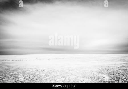 Schneebedeckte Feld in Adams County, Pennsylvania. Stockfoto