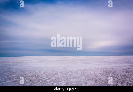 Schneebedeckte Feld in Adams County, Pennsylvania. Stockfoto