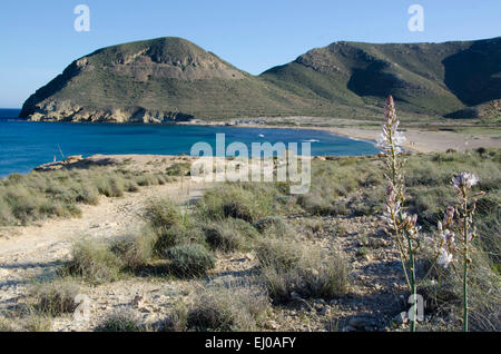 Spanien, Cabo de Gata, Naturschutzgebiet, Almeria, Rodalquilar, Küste, Mittelmeer, Strand, Meer, Sandstrand, Playazo Stockfoto