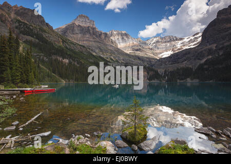 Am schönen Lake O'Hara im Yoho Nationalpark, Britisch-Kolumbien, Kanada, Amerika. Stockfoto