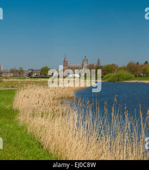 s-Hertogenbosch, Den Bosch, Niederlande, Holland, Europa, Landschaft, Feld, Wiese, Wasser, Frühling, Kathedrale, Kirche, St. John Stockfoto