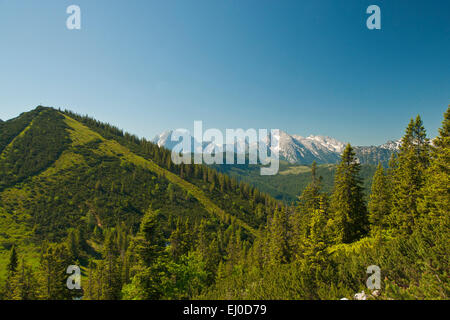 Bayern, Europa, Deutschland, Berchtesgadener Land, Bad Reichenhall, Reichenhall, Berg, Berge, Alpen, Watzmann, Hochkalter, H Stockfoto