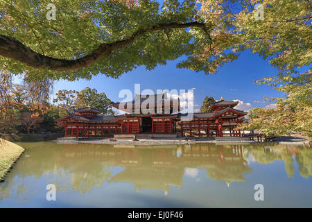 Welterbe, Byodo-in Japan, Asien, Kansai, Landschaft, Tempel, Uji, Architektur, bunt, Herbst, Momiji, keine Menschen, Teich, re Stockfoto