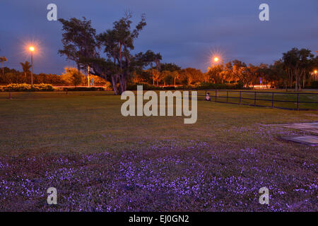 Vero Beach, Florida, USA und Indian River County park in der Nacht Stockfoto