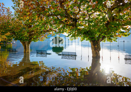 Überschwemmungen, Maggiore mit Bäumen und Bänken an einem sonnigen Tag in Ascona, Schweiz. Stockfoto