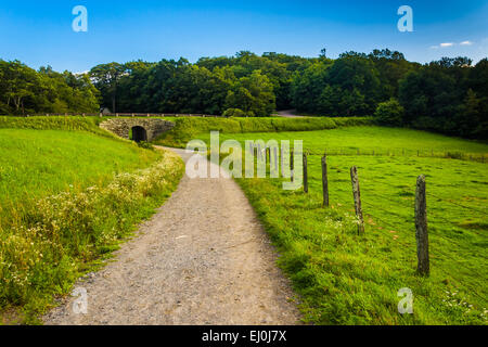 Trail am Moses Kegel Park, entlang der Blue Ridge Parkway in North Carolina. Stockfoto