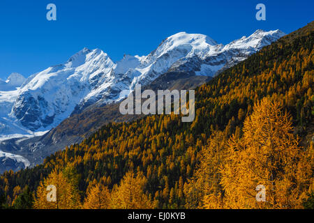 Panorama, Berg, Berge, Alpen, Alpin, massiv, Biancograt, Eis, Gletscher, Berge, Gipfel, Höhepunkt Graubünden, Graubünden, Autu Stockfoto