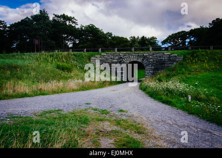 Tunnel auf einem Pfad an Moses Kegel Park, entlang der Blue Ridge Parkway in North Carolina. Stockfoto