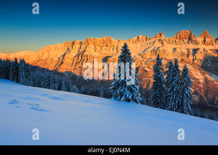 Alpen, Aussicht, Baum, Berg, Bergpanorama, Berge, massiv, Bäume, Felsen, Klippe, Fichte, Churfirsten, Fichten, Flumserbergen, Stockfoto