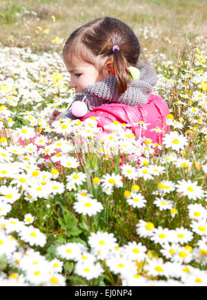 Zwei Jahre und ein halbes altes Kleinkind Mädchen sitzen im Feld daisy Stockfoto