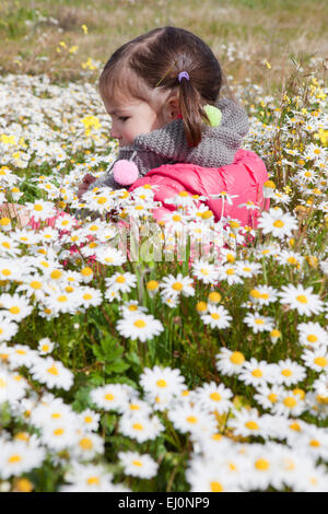 Zwei Jahre und ein halbes altes Kleinkind Mädchen sitzen im Feld daisy Stockfoto