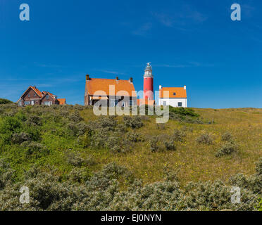 Niederlande, Holland, Europa, De Cocksdorp, Leuchtturm, Texel, Nordholland, Landschaft, Sommer, Dünen, Stockfoto