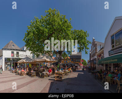 Niederlande, Holland, Europa, Den Burg, Texel, Nordholland, Dorf, Bäume, Sommer, Menschen, Straßencafé, quadratische Stockfoto