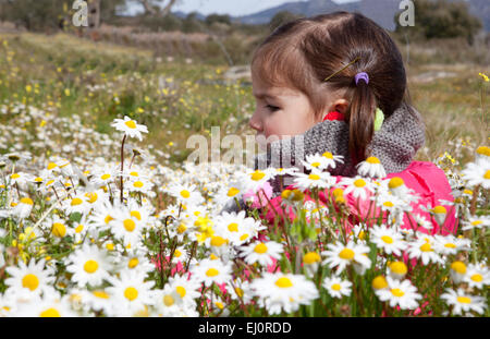 Zwei Jahre und ein halbes altes Kleinkind Mädchen sitzen im Feld daisy Stockfoto