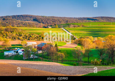 Blick auf Feldern und sanften Hügeln in ländlichen York County, Pennsylvania. Stockfoto