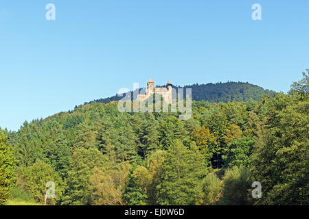 Europa, Deutschland, Europa, Rheinland-Pfalz, Erlenbach Bei Dahn, Burg Berwartstein, Architektur, Bäume, Berge, Schloss, Stockfoto