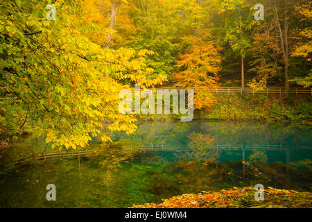 Deutschland, Europa, schwäbischen Alb, Blaubeuren, blauen Topf, Blautopf, See, Herbst Stockfoto