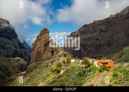 Cliff Bildung, Vulkan Rock, Masca, Gulch, Barranco de Masca, Teno-Gebirge, Teneriffa, Kanarische Inseln, Spanien, Europa Stockfoto