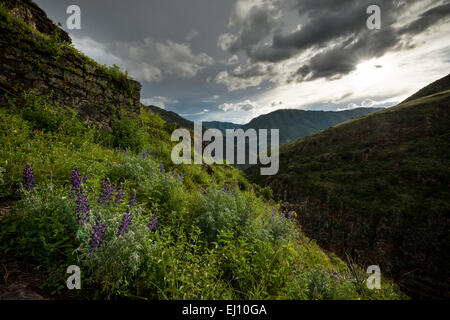 Blick vom Inka-Zitadelle von Pisac Ruinen, Pisac, Heiliges Tal, Peru Stockfoto