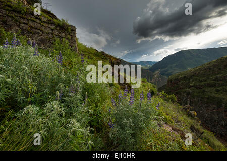 Blick vom Inka-Zitadelle von Pisac Ruinen, Pisac, Heiliges Tal, Peru Stockfoto