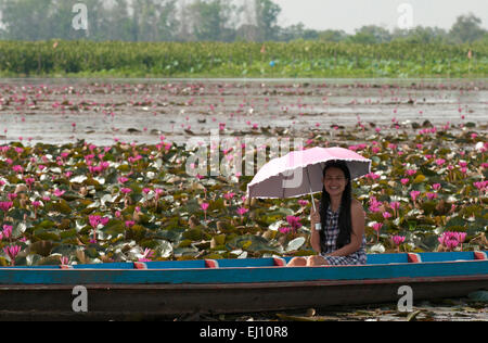 Thailand, Asien, Tale Noi, jung, Frau, Regenschirm, Tourismus, rosa, Seerosen, Boot, Lächeln Stockfoto