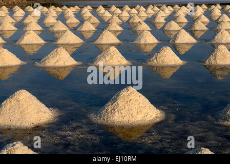 Thailand, Petchaburi, Asien, Salzfelder, Salz, Industrie, Salinen Stockfoto