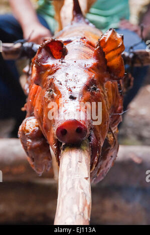 Vertikale Ansicht von einem Schwein braten auf einem provisorischen spucken in Kuba. Stockfoto