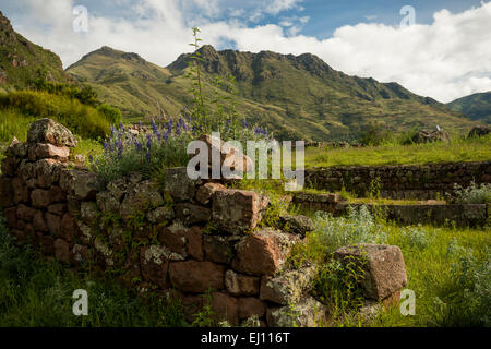 Blick vom Inka-Zitadelle von Pisac Ruinen, Pisac, Heiliges Tal, Peru Stockfoto