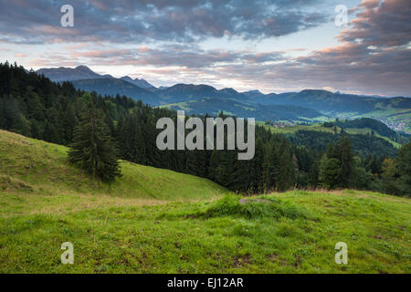 Ansicht, Hundwiler Höhe, Hundwil Höhe, Schweiz, Europa, Kanton Appenzell, Ausserrhoden, Holz, Wald, Fichten, Morgenlicht Stockfoto