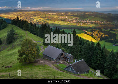 Ansicht, Hundwiler Höhe, Hundwil Höhe, Schweiz, Europa, Kanton Appenzell, Ausserrhoden, Holz, Wald, Fichten, Alp, morgen l Stockfoto